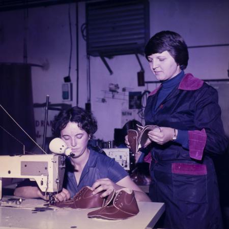 minerva_dn_1977_2425_aspecte_006