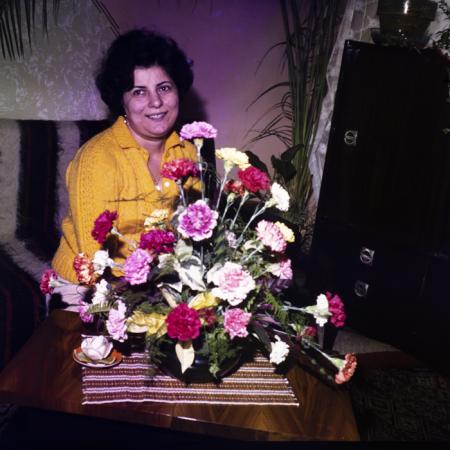 minerva_dn_1978_2299_flori_001