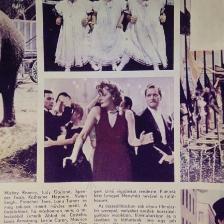 minerva_dn_1978_2316_reproduceri_005