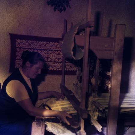 minerva_dn_1978_2359_C.A.P_lutita_004