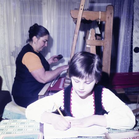 minerva_dn_1978_2359_C.A.P_lutita_005