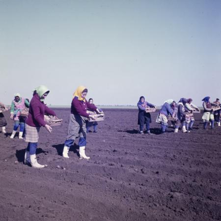 minerva_dn_1979_2384_comuna_varias_004