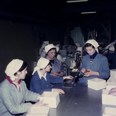 minerva_dn_1979_2385_azur_timisoara_003