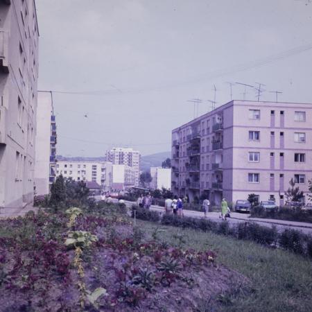 minerva_dn_1979_2412_aspecte_zalau_008