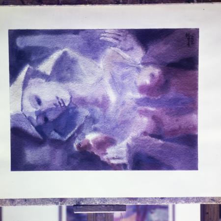 minerva_dn_1979_2415_reproduceri_bune_002