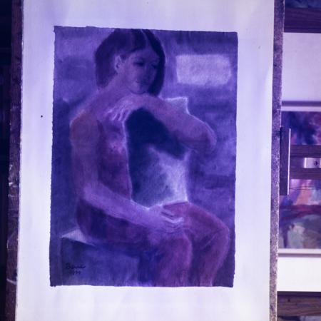 minerva_dn_1979_2415_reproduceri_bune_009