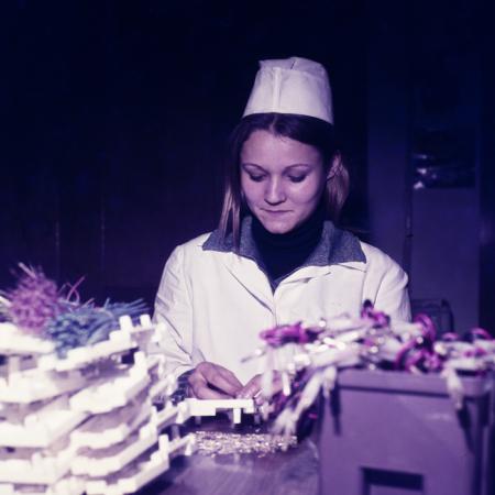 minerva_dn_1979_2433_iaen_timisoara_002