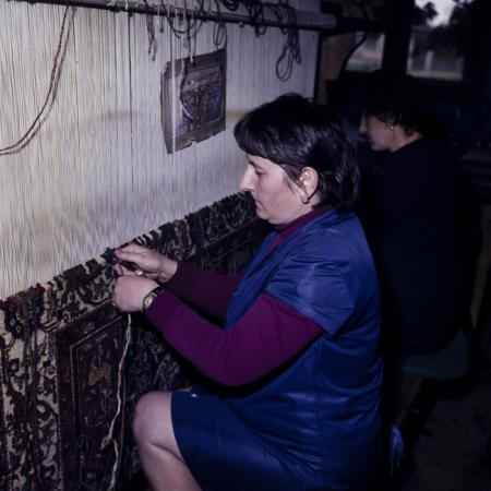 minerva_dn_1979_2447_com_reteag_jud_bistrita_nasaud_011