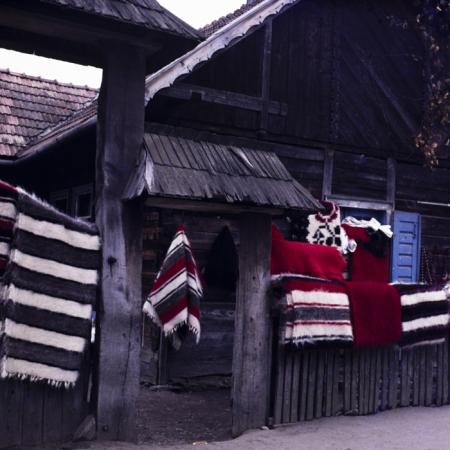 minerva_dn_1979_2447_com_reteag_jud_bistrita_nasaud_013