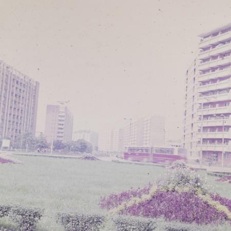 minerva_dn_1980_2497_resita_001