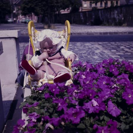 minerva_dn_1980_2506_hank_kinga_007