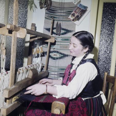 minerva_dn_1981_2558_comuna_joseni_004