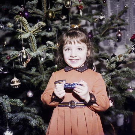 minerva_dn_1982_2592_pom_de_iarna_002