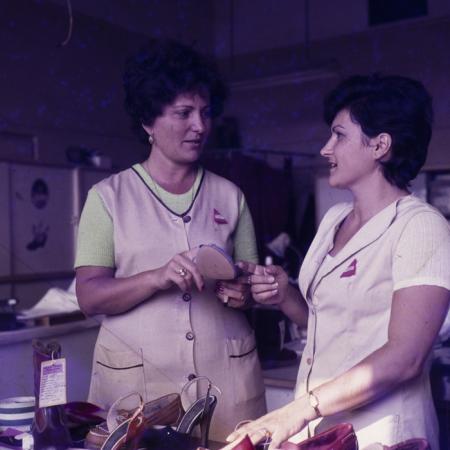 minerva_dn_1982_2623_aspecte_oradea_002