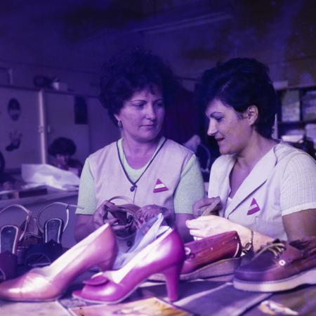 minerva_dn_1982_2623_aspecte_oradea_005