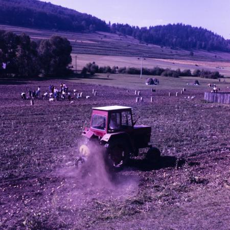 minerva_dn_1982_2894_c.a.p_miercurea_ciuc_002