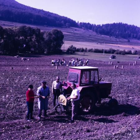minerva_dn_1982_2894_c.a.p_miercurea_ciuc_003
