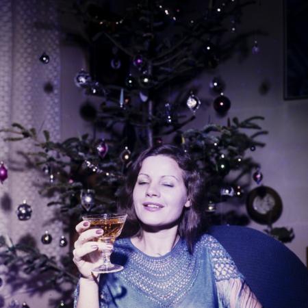 minerva_dn_1983_2637_pom_de_iarna_002