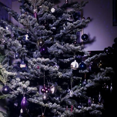 minerva_dn_1983_2637_pom_de_iarna_004