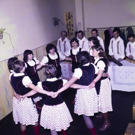 minerva_dn_1983_2642_jud.satu_mare_002