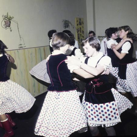 minerva_dn_1983_2642_jud.satu_mare_012