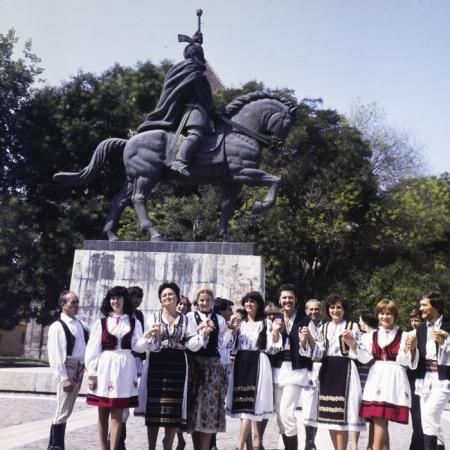 minerva_dn_1983_2676_alba_iulia_014