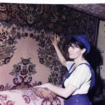 minerva_dn_1983_2676_alba_iulia_024