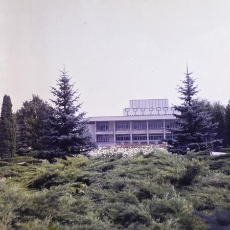 minerva_dn_1983_2678_medgidia_004