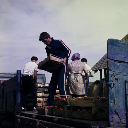 minerva_dn_1983_2680_C.A.P_mihai_viteazul_002