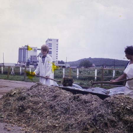 minerva_dn_1983_2680_C.A.P_mihai_viteazul_006