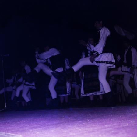 minerva_dn_1985_2794_cantarea_romaniei_alba_005