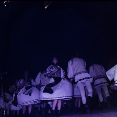 minerva_dn_1985_2794_cantarea_romaniei_alba_006