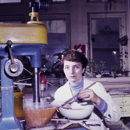 minerva_dn_1985_korpos_ildiko_002