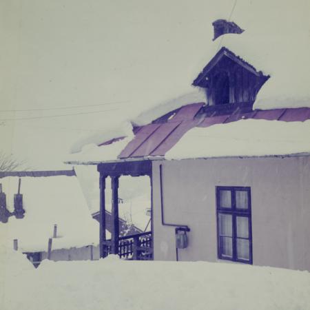 minerva_dn_1986_2829_targu_secuiesc_copil_gall_010