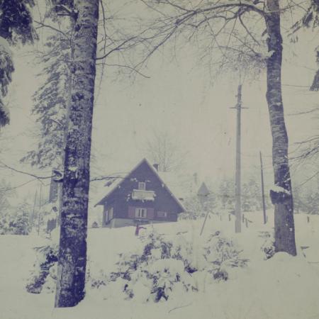 minerva_dn_1986_2829_targu_secuiesc_copil_gall_011