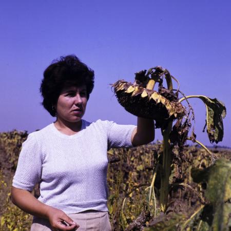 minerva_dn_1986_3835_cuasc_gruia_jud_mehedinti_002