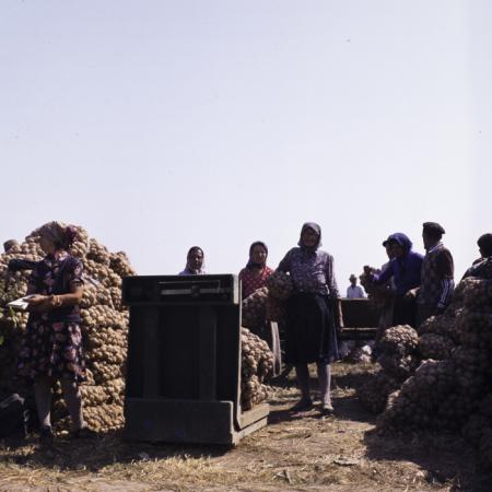 minerva_dn_1986_3835_cuasc_gruia_jud_mehedinti_003