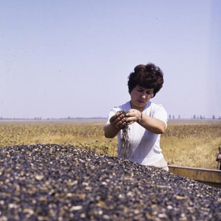 minerva_dn_1986_3835_cuasc_gruia_jud_mehedinti_006