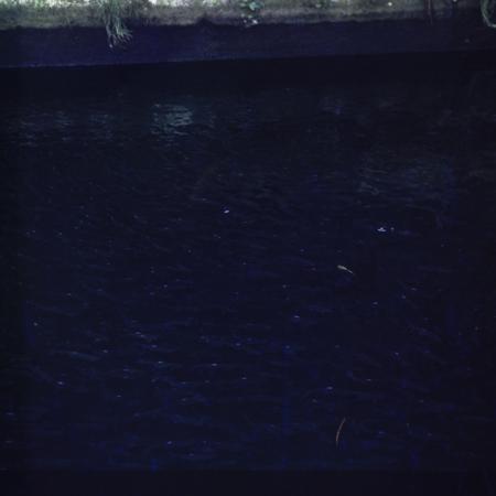 minerva_dn_1987_2904_I.A.S_satul_horea_007