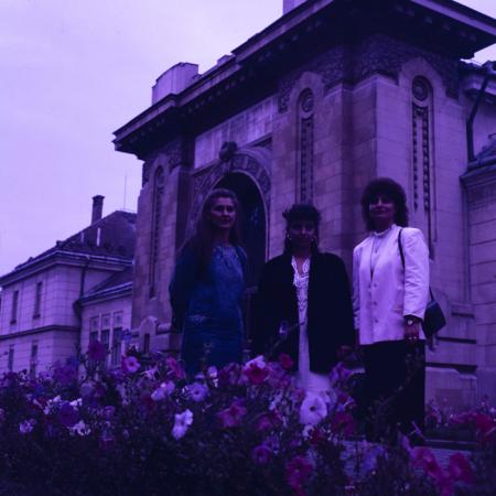 minerva_dn_1988_2940_alba_iulia_008