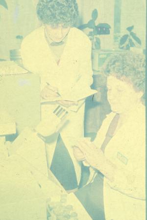 minerva_dn_1989_2969_fabrica_de_papusi_arad_007