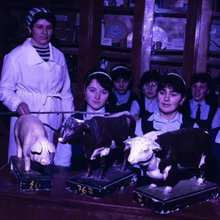 minerva_dn_1989_2977_liceul_agricol_livada_005