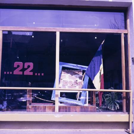 minerva_dn_1990_reproduceri_002