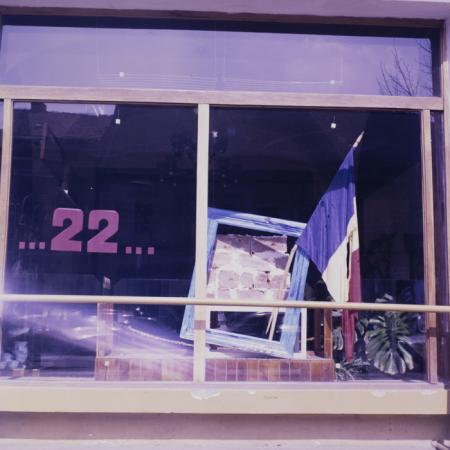 minerva_dn_1990_reproduceri_015