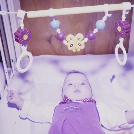 minerva_dn_1990_reproduceri_2_009