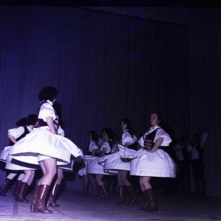 minerva_dn_bistrita_tanc_002