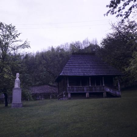 minerva_dn_comuna_vladimir_002