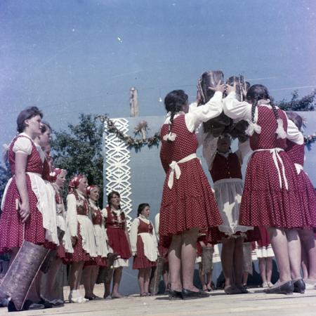 minerva_dn_dansuri_bistrita_004