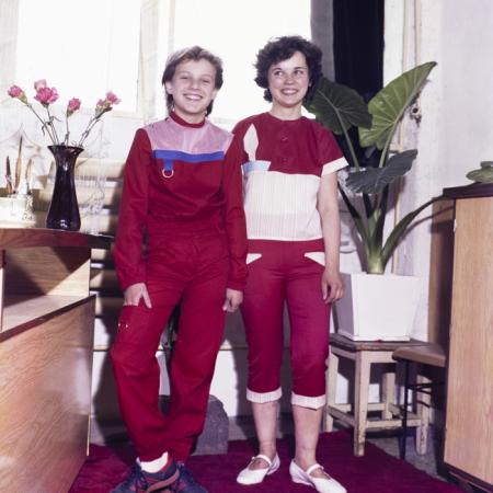 minerva_dn_fedolap_javaslat_006