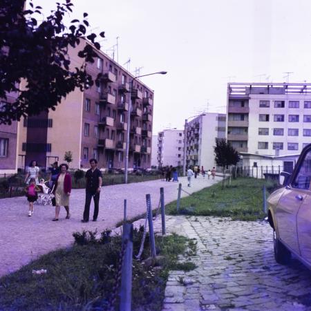 minerva_dn_gherla_003